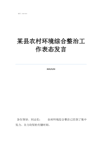 环境整治发言表态某县农村环境综合整治工作表态发言