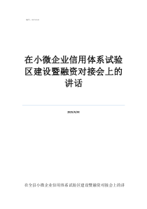 景德镇试验区在小微企业信用体系试验区建设暨融资对接会上的讲话