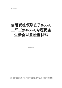 湖南省信用联社赵应云信用联社领导班子"三严三实"专题民主生活会对照检查材料