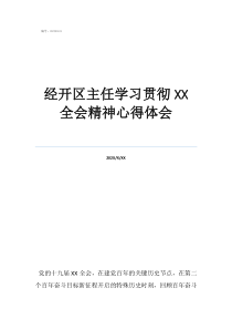 经开区主任学习贯彻全会精神心得体会