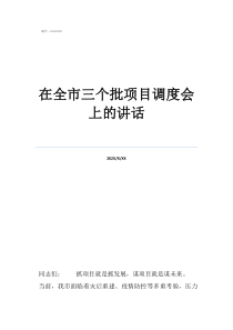 项目调度是做什么的在全市三个批项目调度会上的讲话