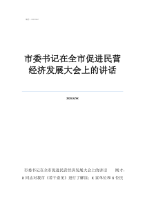 湖北经济学院书记市委书记在全市促进民营经济发展大会上的讲话