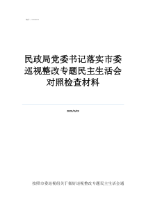 民政局党委书记落实市委巡视整改专题民主生活会对照检查材料