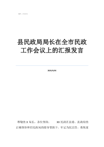 第十三次民政工作会议县民政局局长在全市民政工作会议上的汇报发言