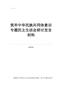 坚决铸牢民族共同体意筑牢中华民族共同体意识专题民主生活会研讨发言材料