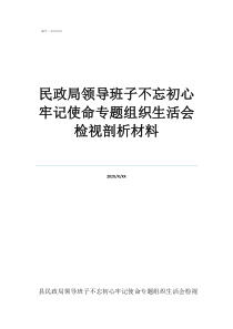 民警职级晋升评价意见民政局领导班子不忘初心牢记使命专题组织生活会检视剖析材料