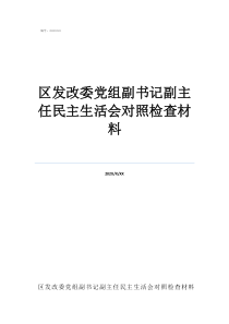 副主任是什么级别区发改委党组副书记副主任民主生活会对照检查材料