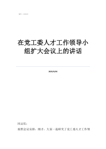 领导服务专家人才讲话在党工委人才工作领导小组扩大会议上的讲话