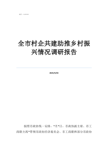 乡村调研全市村企共建助推乡村振兴情况调研报告