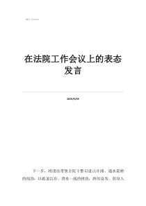 会议发言在法院工作会议上的表态发言