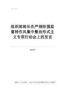 形式主义组织部部长在严规矩强监督转作风集中整治形式主义专项行动会上的发言