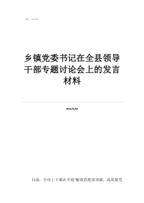 乡镇党委书记在全县领导干部专题讨论会上的发言材料
