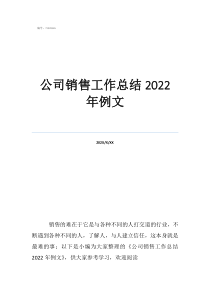 销售一天的工作总结简短公司销售工作总结2022年例文