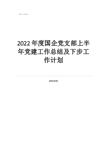 2022年度国企党支部上半年党建工作总结及下步工作计划