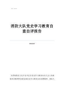 消防大队党史学习教育自查自评报告