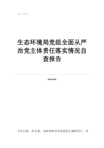 生态环境局党组全面从严治党主体责任落实情况自查报告