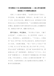 学习贯彻二十大•踔厉奋发新征程——深入学习宣传贯彻党的二十大精神主题征文2篇（十三）