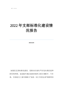 2022年支部标准化建设情况报告