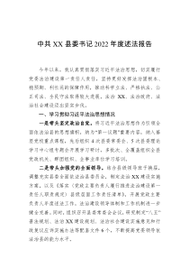 中共县委书记2022年度述法报告docx