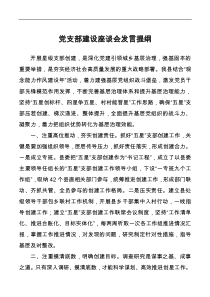 组织部长党支部建设座谈会发言提纲docx