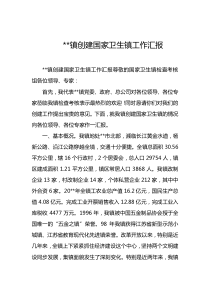 镇创建国家卫生镇工作汇报docx