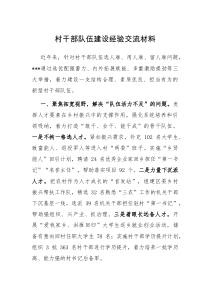 村干部队伍建设经验交流材料docx