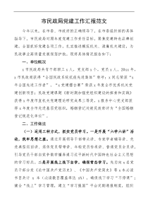 市民政局党建工作汇报范文工作总结报告docx