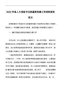 2023年县人大党组书记抓基层党建工作述职报告docx