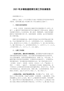 2021年乡镇街道招商引资工作自查报告docx