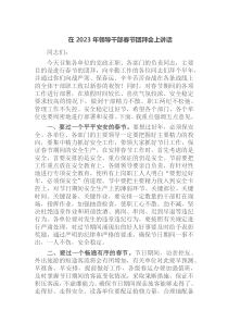在2023年领导干部春节团拜会上讲话docx