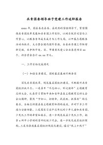 共青团委领导班子党建工作述职报告docx
