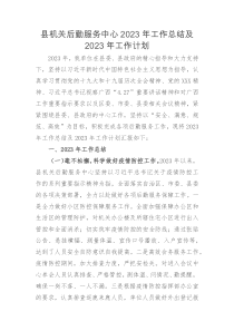县机关后勤服务中心2023年工作总结及2023年工作计划docx