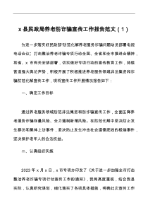 打击整治养老诈骗宣传工作经验总结报告docx