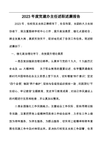 2023年度党建办主任述职述廉报告docx
