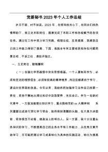党委秘书2023年个人工作总结docx
