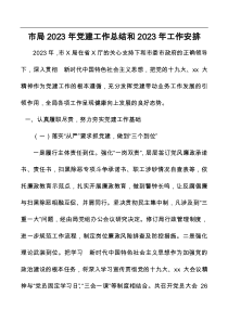 市局2023年党建工作总结和2023年工作安排docx