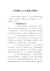 公司党委2023年党建工作要点docx