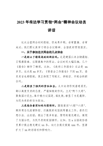 2023年传达学习贯彻“两会”精神会议动员讲话docx