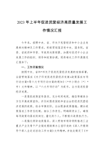 2023年上半年促进民营经济高质量发展工作情况汇报docx