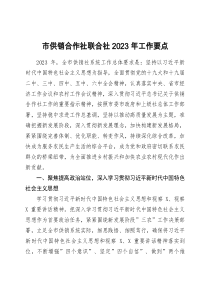 市供销合作社联合社2023年工作要点doc