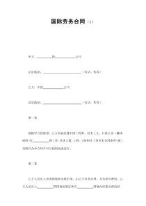 初创公司企业国际劳务合同（4）