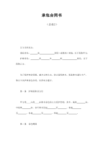 初创公司企业承包合同书（企业2）