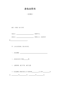 初创公司企业承包合同书（企业6）