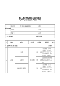 电力电缆精益化评价细则