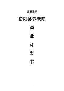 松阳县养老院商业计划书