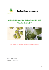 阳光新能源公司创业计划书 (2)