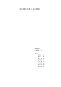 209婚纱摄影商业计划书