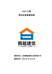 塔吊应急救援预案