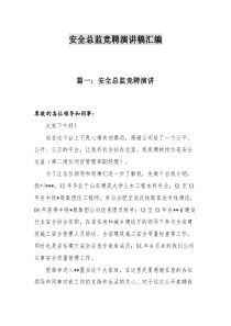 安全总监竞聘演讲稿汇编