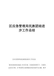 区应急管理局民族团结进步工作总结